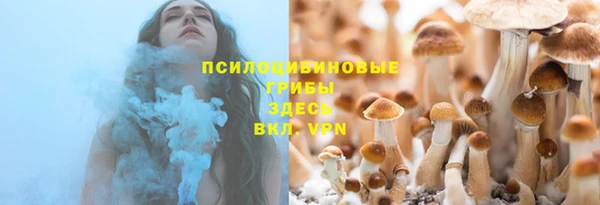гидропоника Лабытнанги