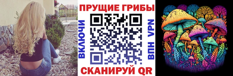 Галлюциногенные грибы Psilocybine cubensis  Куровское 